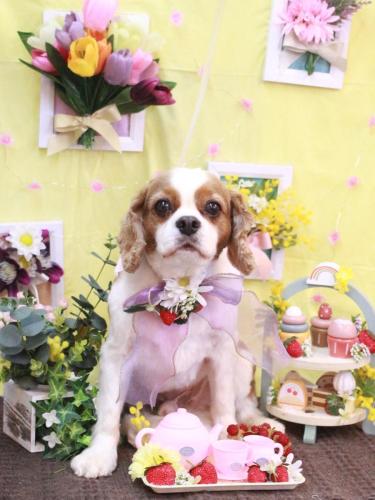 20230322ゲンキくん